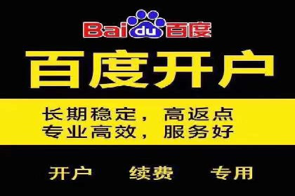 百度竞价代运营公司成功案例：从零到一的营销奇迹